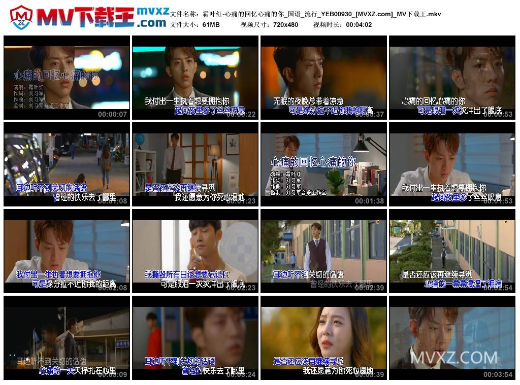 霜叶红-心痛的回忆心痛的你_国语_流行_YEB00930